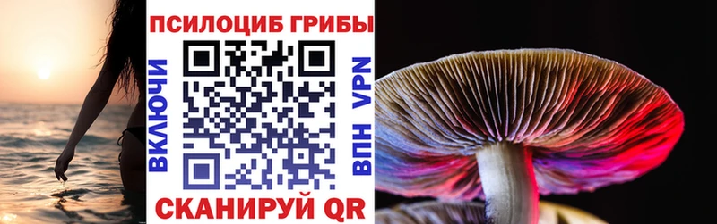 Псилоцибиновые грибы Cubensis  Купить где  Кудымкар 